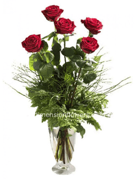 5 rose rosse gambo lungo 70-80cm (senza vaso)