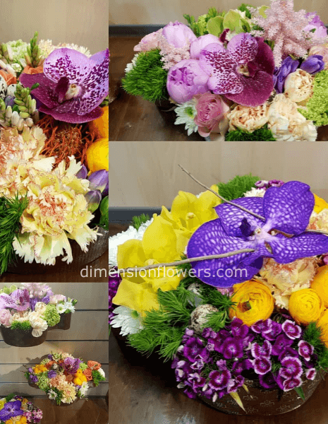 colombe Pasquali fiorite